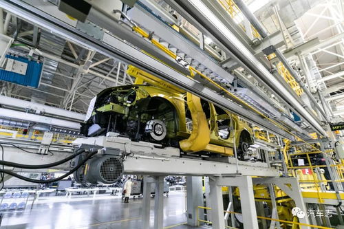 冠軍家族的榮耀 領克03銷量正式破萬，彰顯市場信心