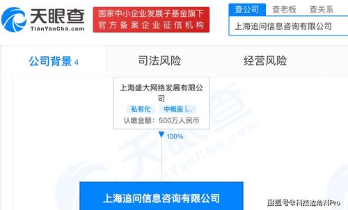 盛大網絡再落子 成立上海追問信息咨詢公司，注冊資本500萬元深耕信息咨詢服務