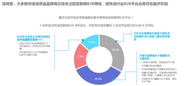 2016年中國快速消費品互聯網B2B市場報告發布 東陽互聯網銷售模式解析