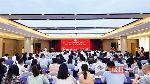 宜昌市企業納稅人服務協會順利完成換屆選舉，百余會員共襄盛會